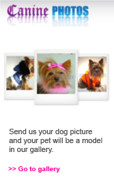 photos