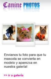photos